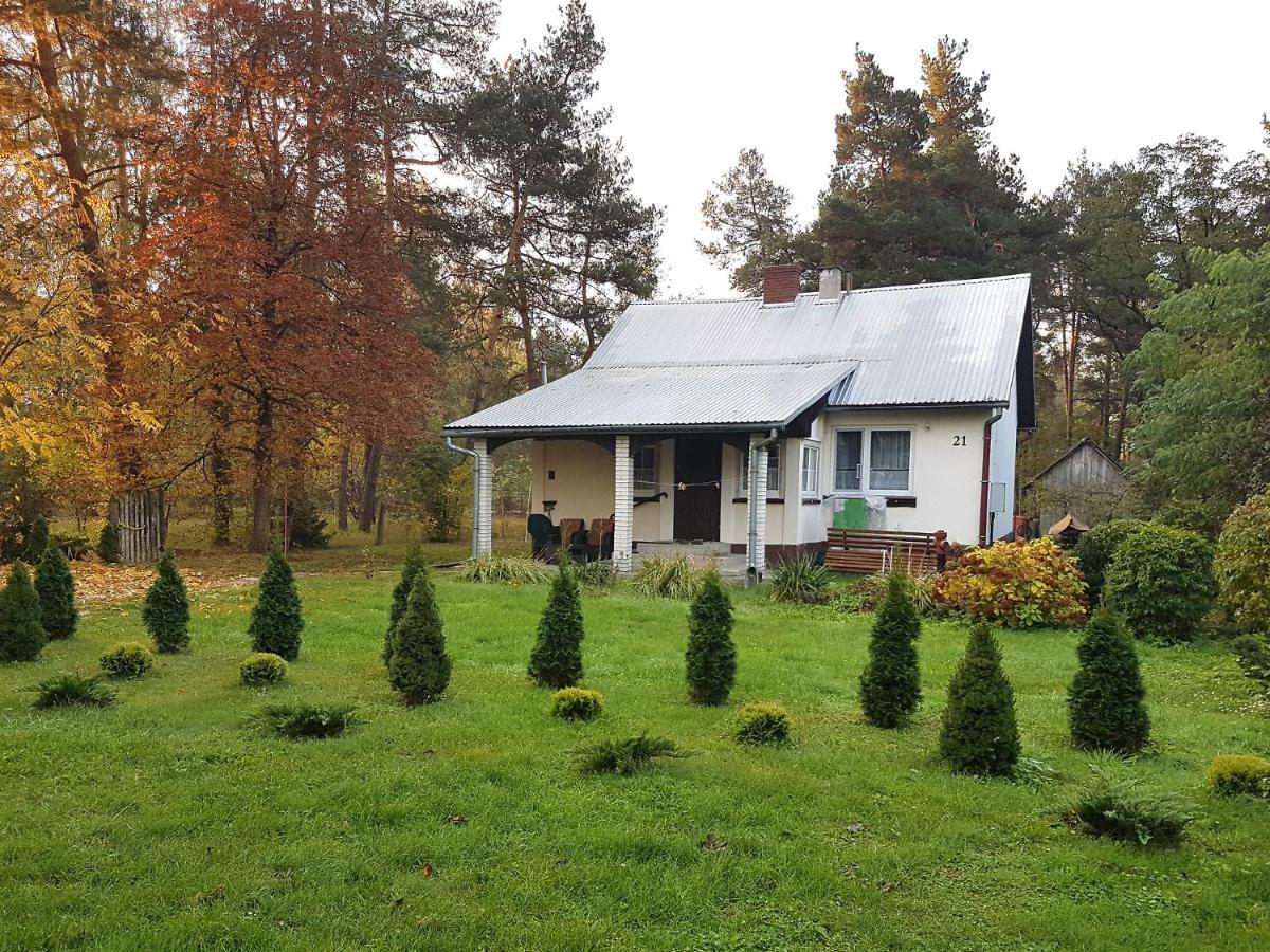 Stokrotka Homestay *