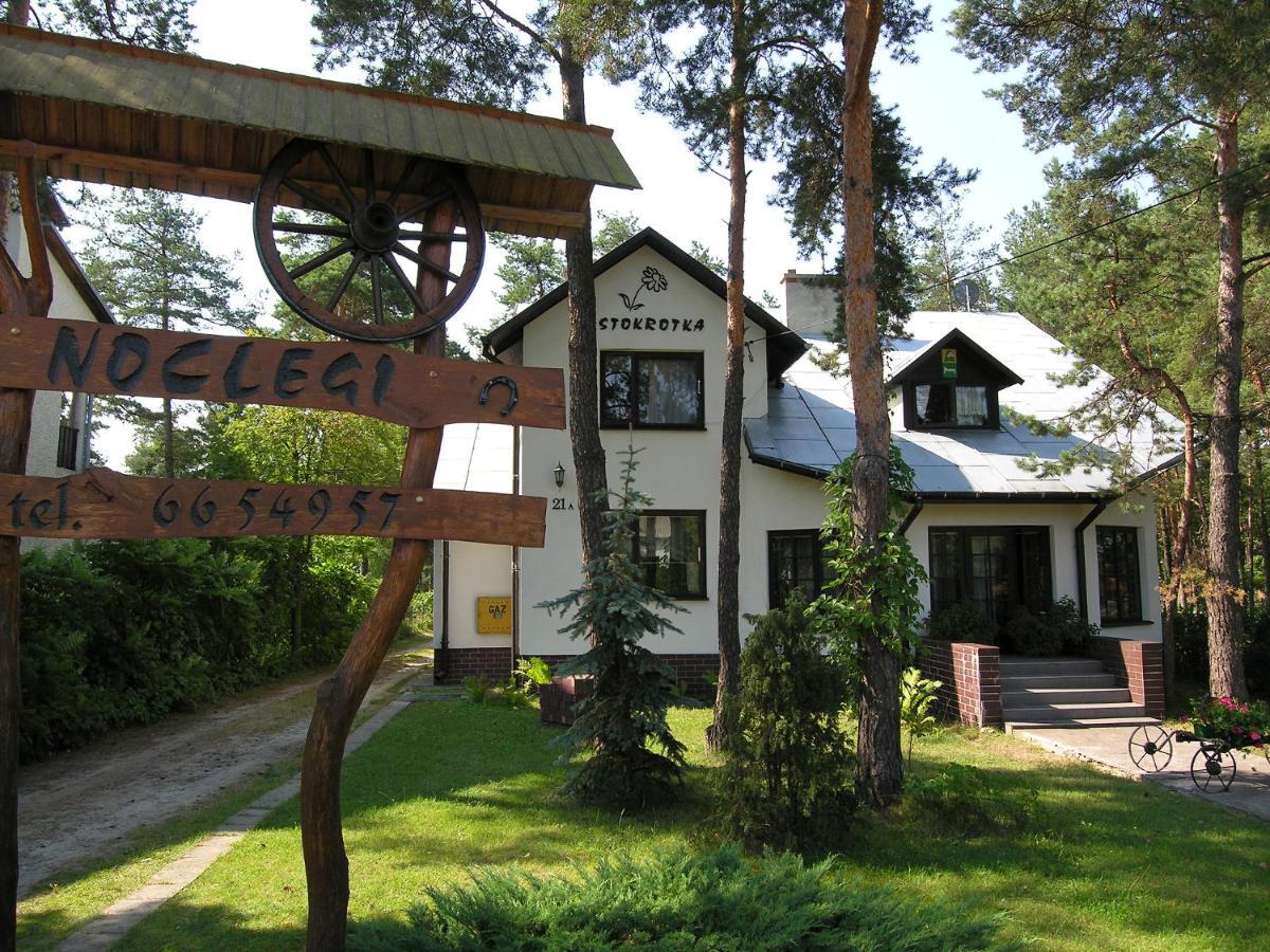 Stokrotka Homestay